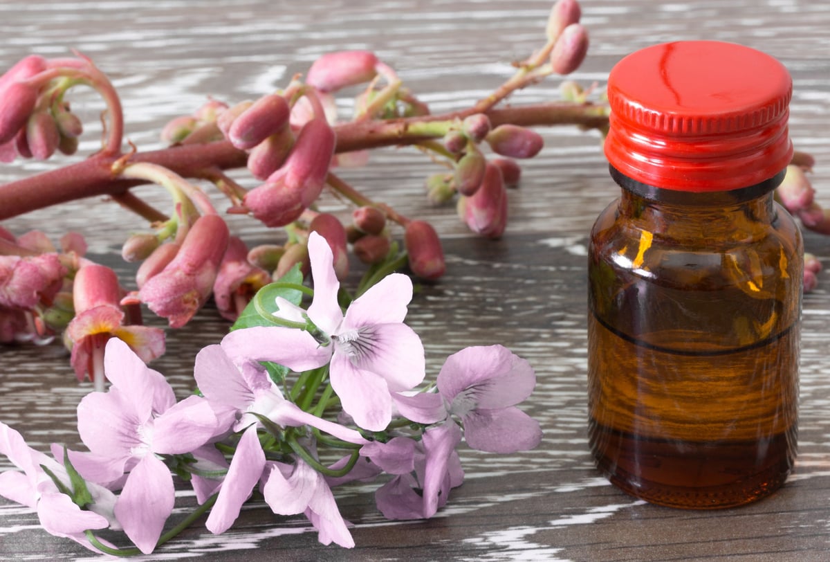 Botellas de Flores de Bach en un entorno natural con flores silvestres